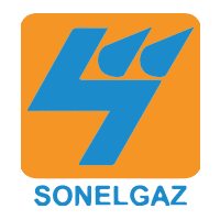 Sonelgaz - Vastas Africa References
