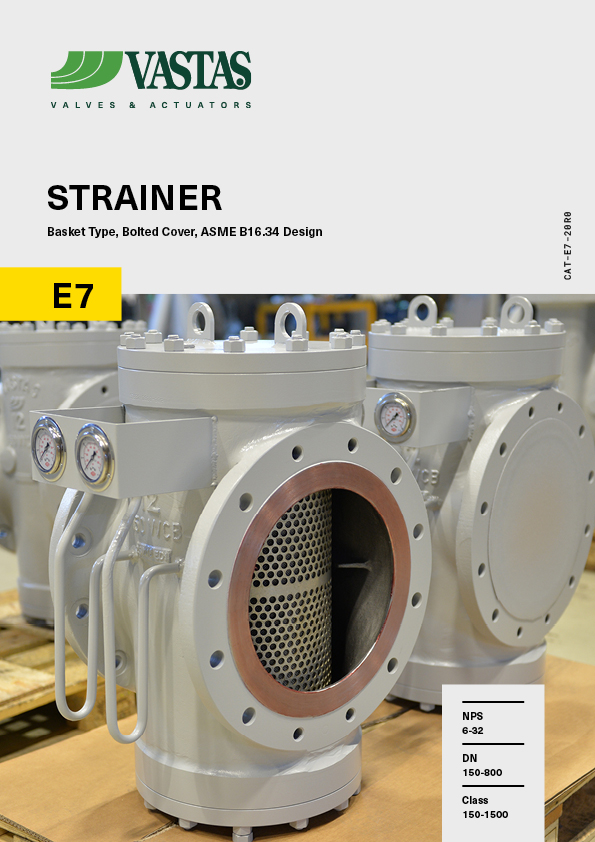 E7_strainer