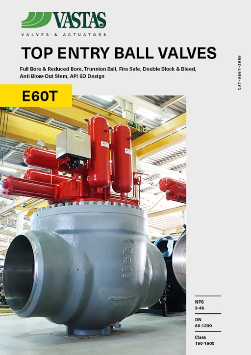 top_entry_ball_valve_E60T
