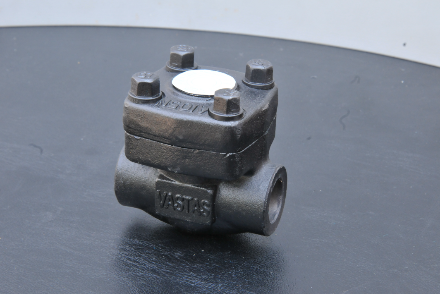 Compact-Forged-Check-Valves